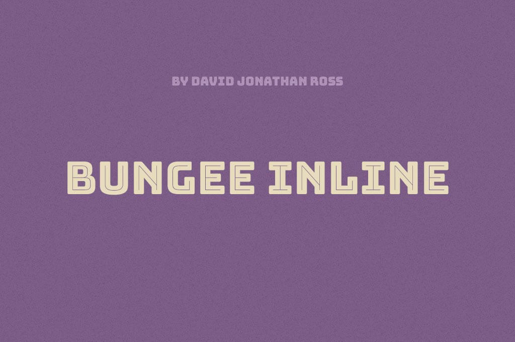 Bungee Inline