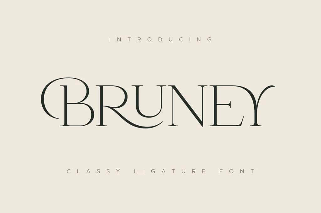 Bruney — Classy Ligature Font