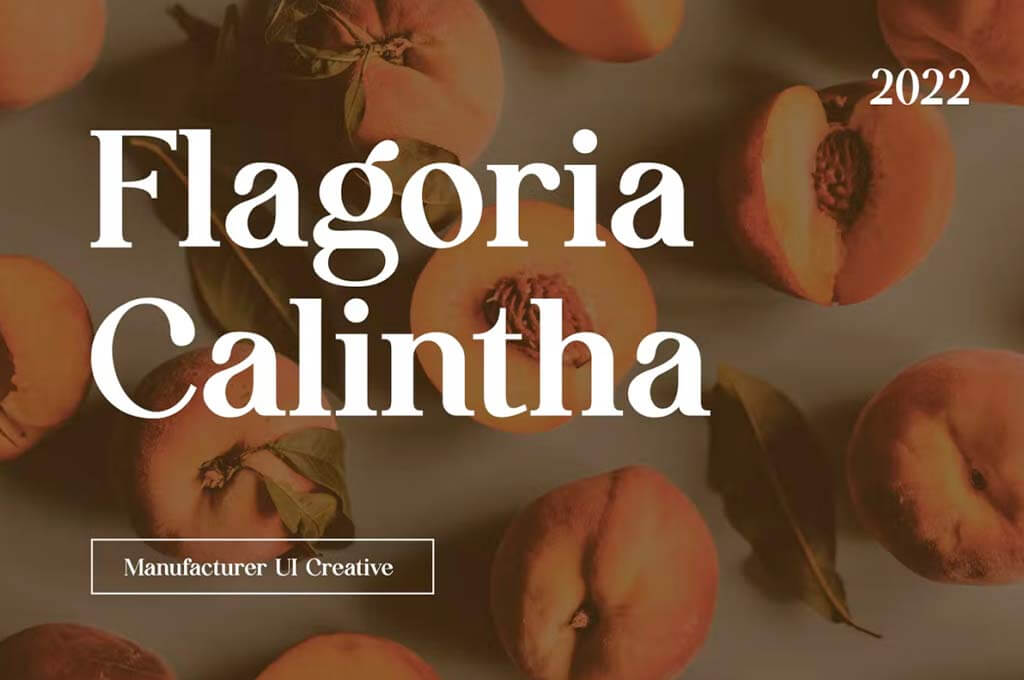Flagoria Caintha Serif Font Family