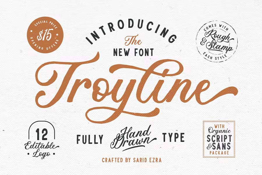 Troyline Font Duo Logotype
