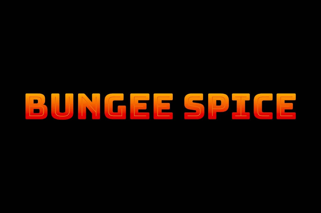 Bungee Spice