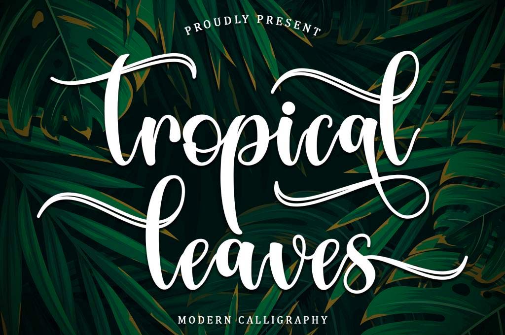 Tropical Leaves — Personal Use Font