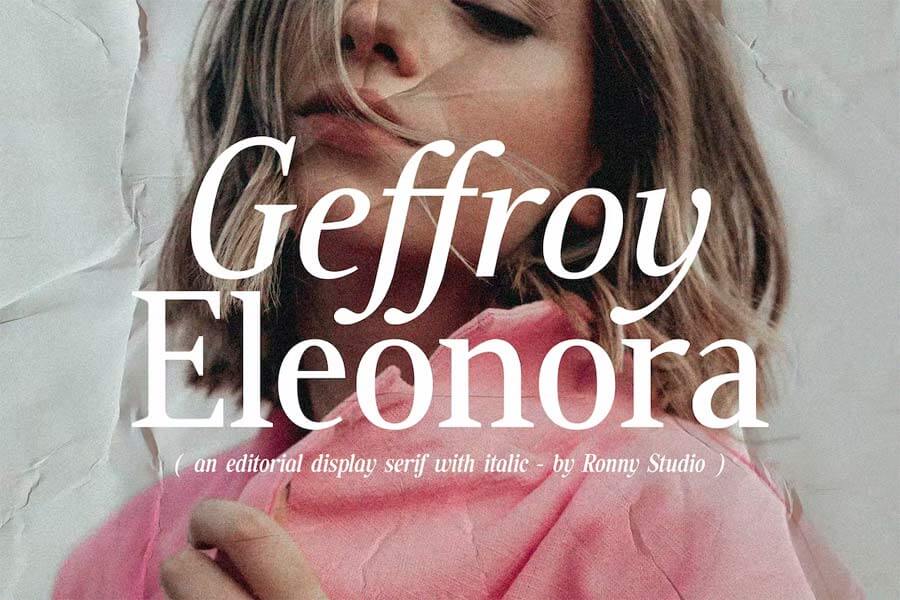 Geffroy Eleonora — a Nostalgic Serif
