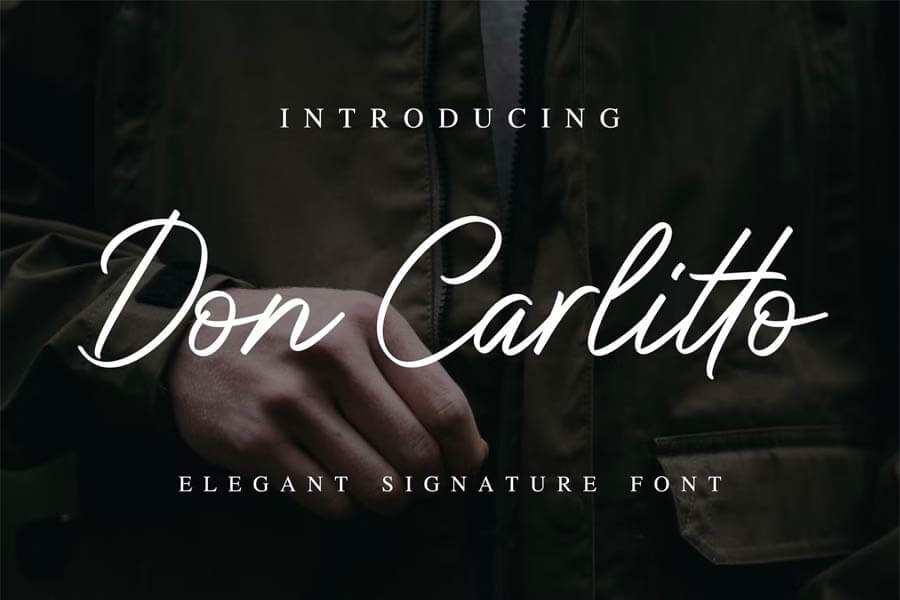 Don Carlitto - Elegant Signature Font