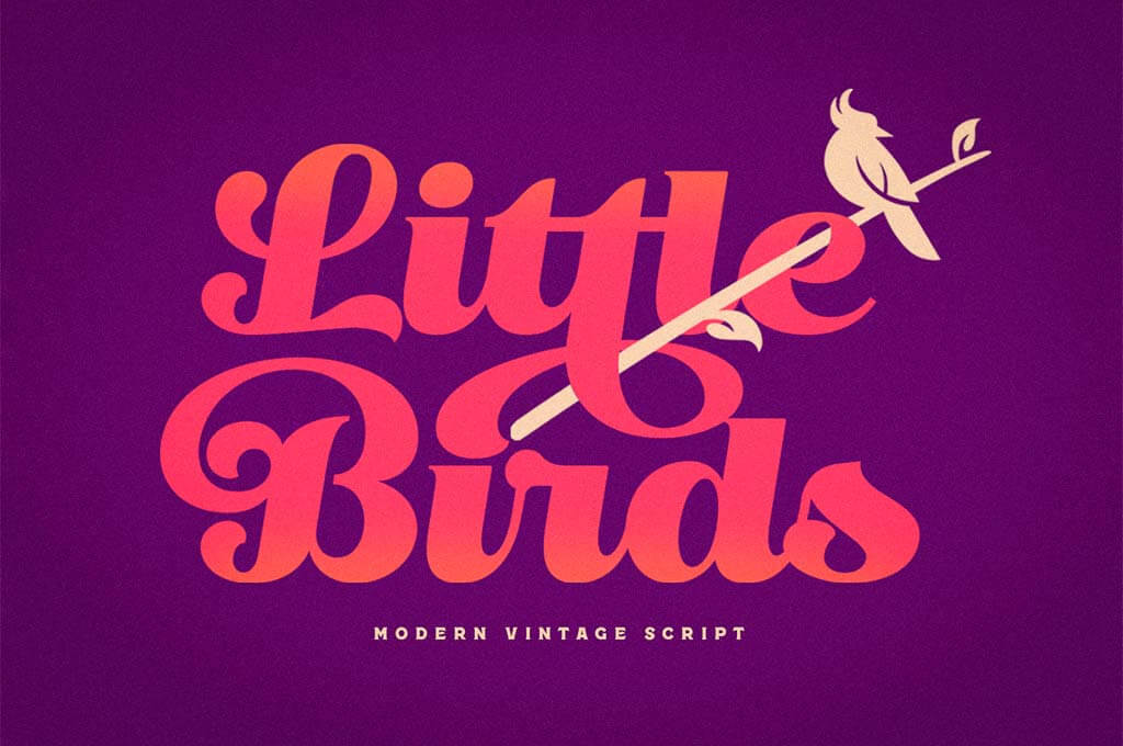 Little Bird — Modern Vintage Script