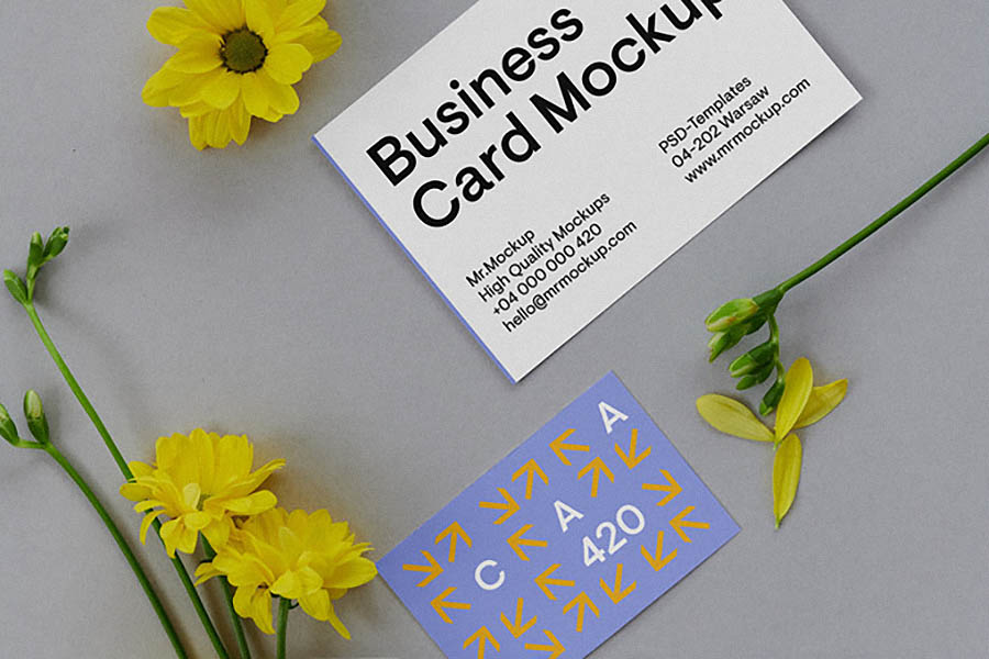 Business Cards on Floor Mockup